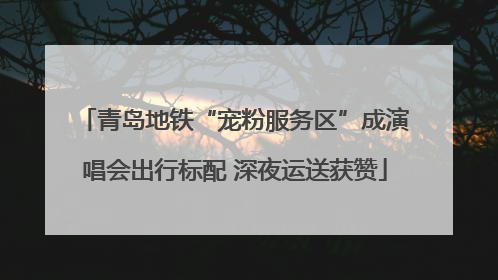 青岛地铁“宠粉服务区”成演唱会出行标配 深夜运送获赞