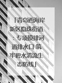青岛西海岸新区隐珠街道：专项摸排河道排水口 筑牢碧水清流生态防线