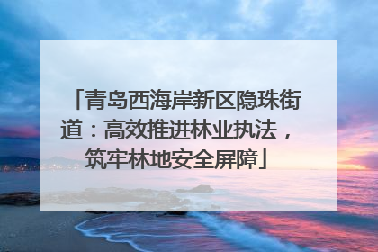 青岛西海岸新区隐珠街道：高效推进林业执法，筑牢林地安全屏障