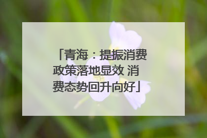 青海：提振消费政策落地显效 消费态势回升向好