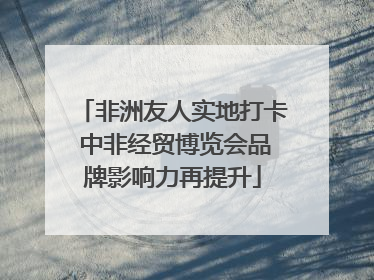 非洲友人实地打卡 中非经贸博览会品牌影响力再提升