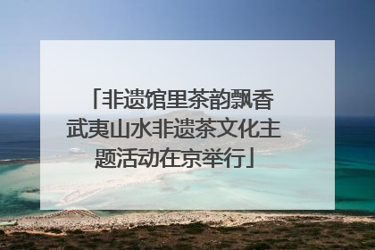 非遗馆里茶韵飘香 武夷山水非遗茶文化主题活动在京举行