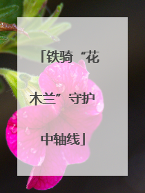铁骑“花木兰”守护中轴线