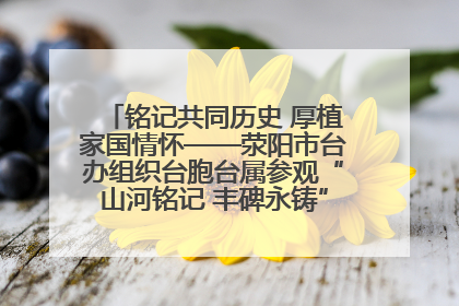铭记共同历史 厚植家国情怀——荥阳市台办组织台胞台属参观“山河铭记 丰碑永铸”抗战胜利图片展