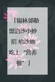 锡林郭勒盟治沙小妙招 给沙地吃上“营养餐”