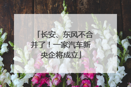 长安、东风不合并了！一家汽车新央企将成立
