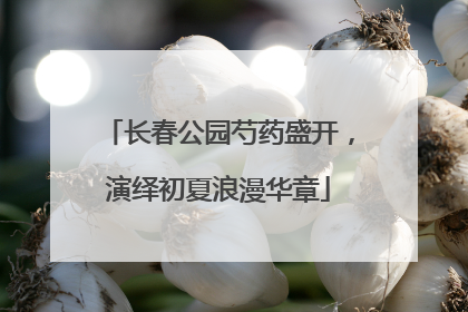 长春公园芍药盛开，演绎初夏浪漫华章