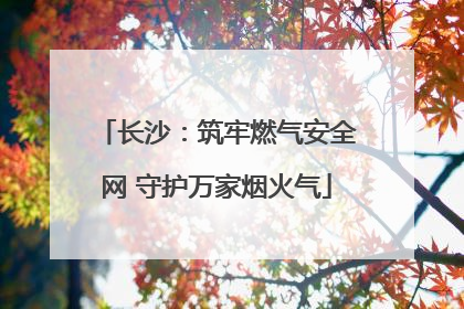 长沙:筑牢燃气安全网 守护万家烟火气