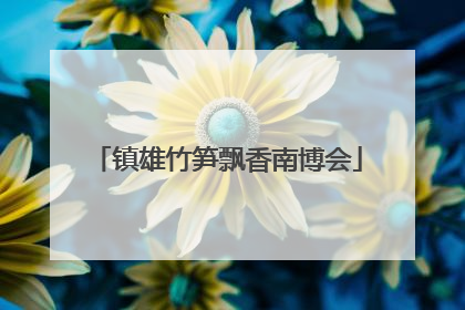 镇雄竹笋飘香南博会