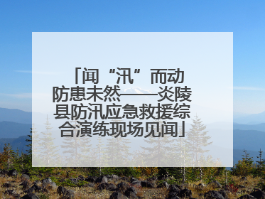 闻“汛”而动 防患未然——炎陵县防汛应急救援综合演练现场见闻