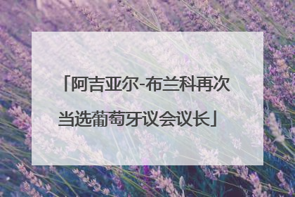 阿吉亚尔-布兰科再次当选葡萄牙议会议长