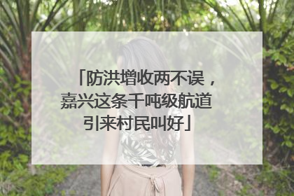 防洪增收两不误，嘉兴这条千吨级航道引来村民叫好