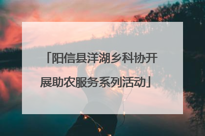 阳信县洋湖乡科协开展助农服务系列活动