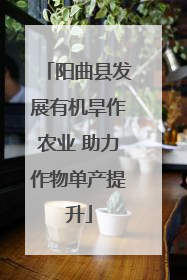 阳曲县发展有机旱作农业 助力作物单产提升
