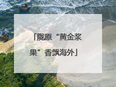陇原“黄金浆果”香飘海外