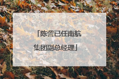 陈詟已任南航集团副总经理