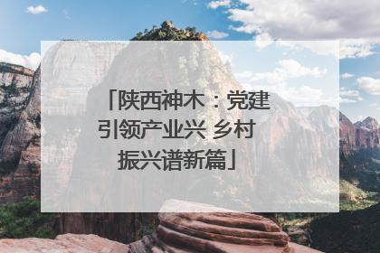 陕西神木：党建引领产业兴 乡村振兴谱新篇