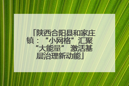 陕西合阳县和家庄镇：“小网格”汇聚“大能量” 激活基层治理新动能