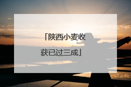 陕西小麦收获已过三成