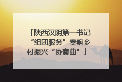 陕西汉阴第一书记“组团服务”奏响乡村振兴“协奏曲”