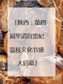 陕西：第四届华清宫贵妃荔枝文化节盛大启幕