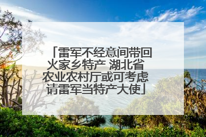 雷军不经意间带回火家乡特产 湖北省农业农村厅或可考虑请雷军当特产大使