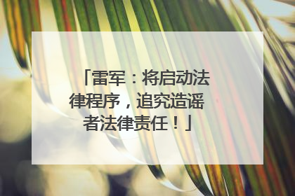 雷军：将启动法律程序，追究造谣者法律责任！