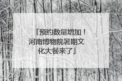预约数量增加！河南博物院暑期文化大餐来了