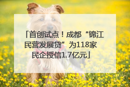 首创试点！成都“锦江民营发展贷”为118家民企授信1.7亿元