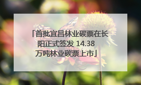 首批宜昌林业碳票在长阳正式签发 14.38万吨林业碳票上市