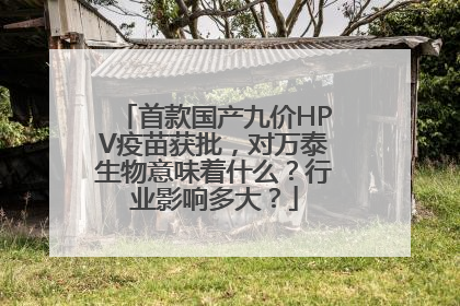 首款国产九价HPV疫苗获批，对万泰生物意味着什么？行业影响多大？