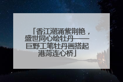 香江潮涌紫荆艳，盛世同心绘牡丹——巨野工笔牡丹画搭起港菏连心桥