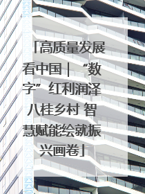 高质量发展看中国｜“数字”红利润泽八桂乡村 智慧赋能绘就振兴画卷