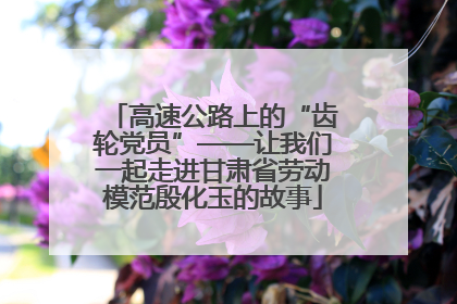 高速公路上的“齿轮党员”——让我们一起走进甘肃省劳动模范殷化玉的故事
