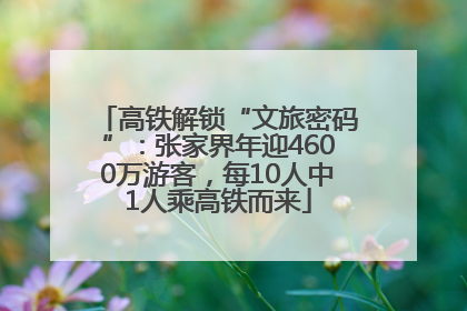 高铁解锁“文旅密码”：张家界年迎4600万游客，每10人中1人乘高铁而来