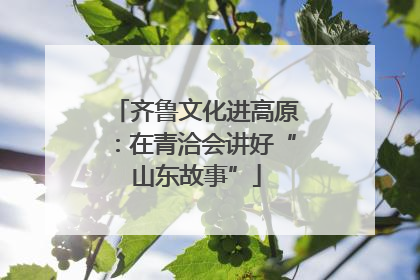 齐鲁文化进高原：在青洽会讲好“山东故事”