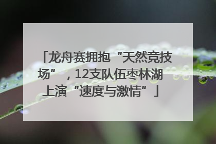 龙舟赛拥抱“天然竞技场”，12支队伍枣林湖上演“速度与激情”