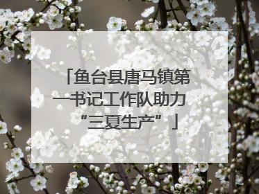 鱼台县唐马镇第一书记工作队助力“三夏生产”