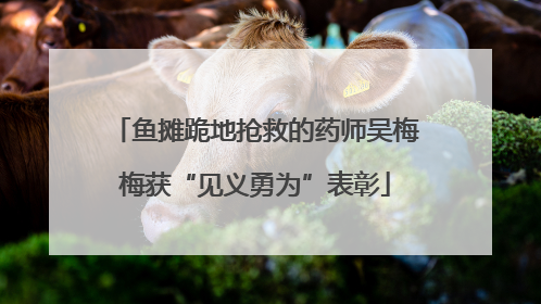 鱼摊跪地抢救的药师吴梅梅获“见义勇为”表彰