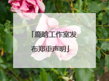 鹿晗工作室发布郑重声明