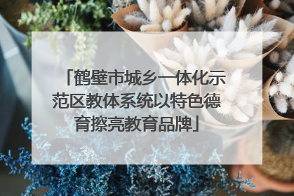 鹤壁市城乡一体化示范区教体系统以特色德育擦亮教育品牌