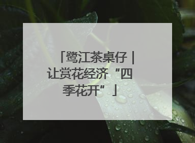 鹭江茶桌仔｜让赏花经济“四季花开”