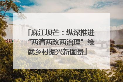 麻江坝芒：纵深推进“两清两改两治理”绘就乡村振兴新图景