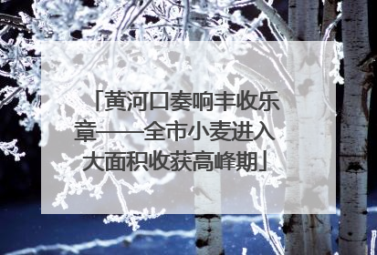 黄河口奏响丰收乐章——全市小麦进入大面积收获高峰期