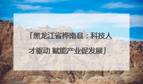 黑龙江省桦南县：科技人才驱动 赋能产业促发展