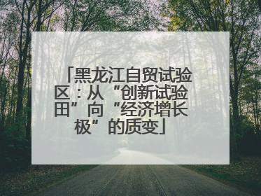 黑龙江自贸试验区：从“创新试验田”向“经济增长极”的质变