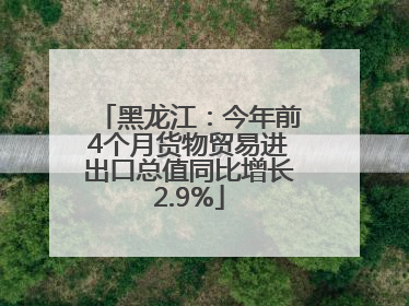 黑龙江：今年前4个月货物贸易进出口总值同比增长2.9%