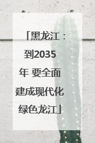黑龙江：到2035年 要全面建成现代化绿色龙江
