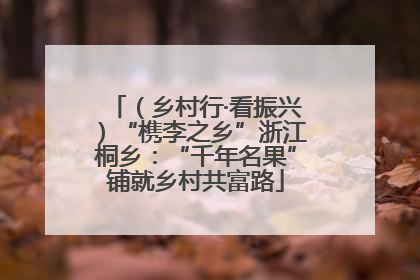 （乡村行·看振兴）“槜李之乡”浙江桐乡：“千年名果”铺就乡村共富路