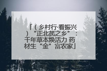 （乡村行·看振兴）“正北芪之乡”：千年草本焕活力 药材生“金”富农家